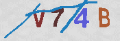 CAPTCHA Image