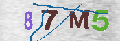 CAPTCHA Image